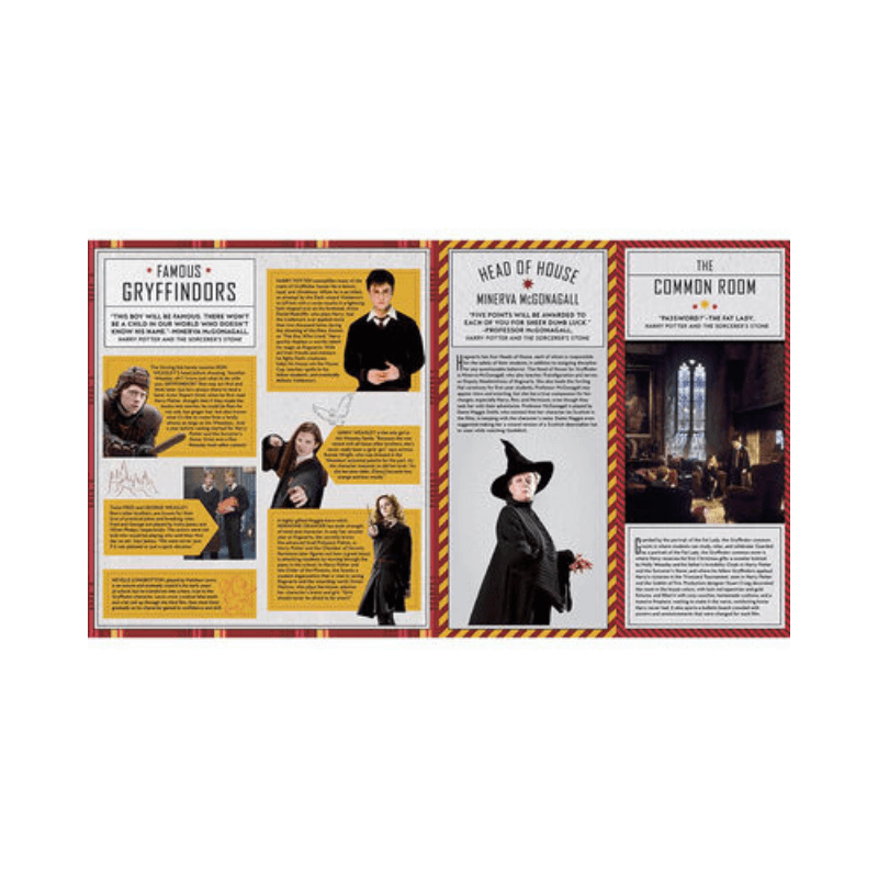 š§āāļøThe Magic Begins at Home: A Harry Potter Toy Adventure for Every Young Wizard