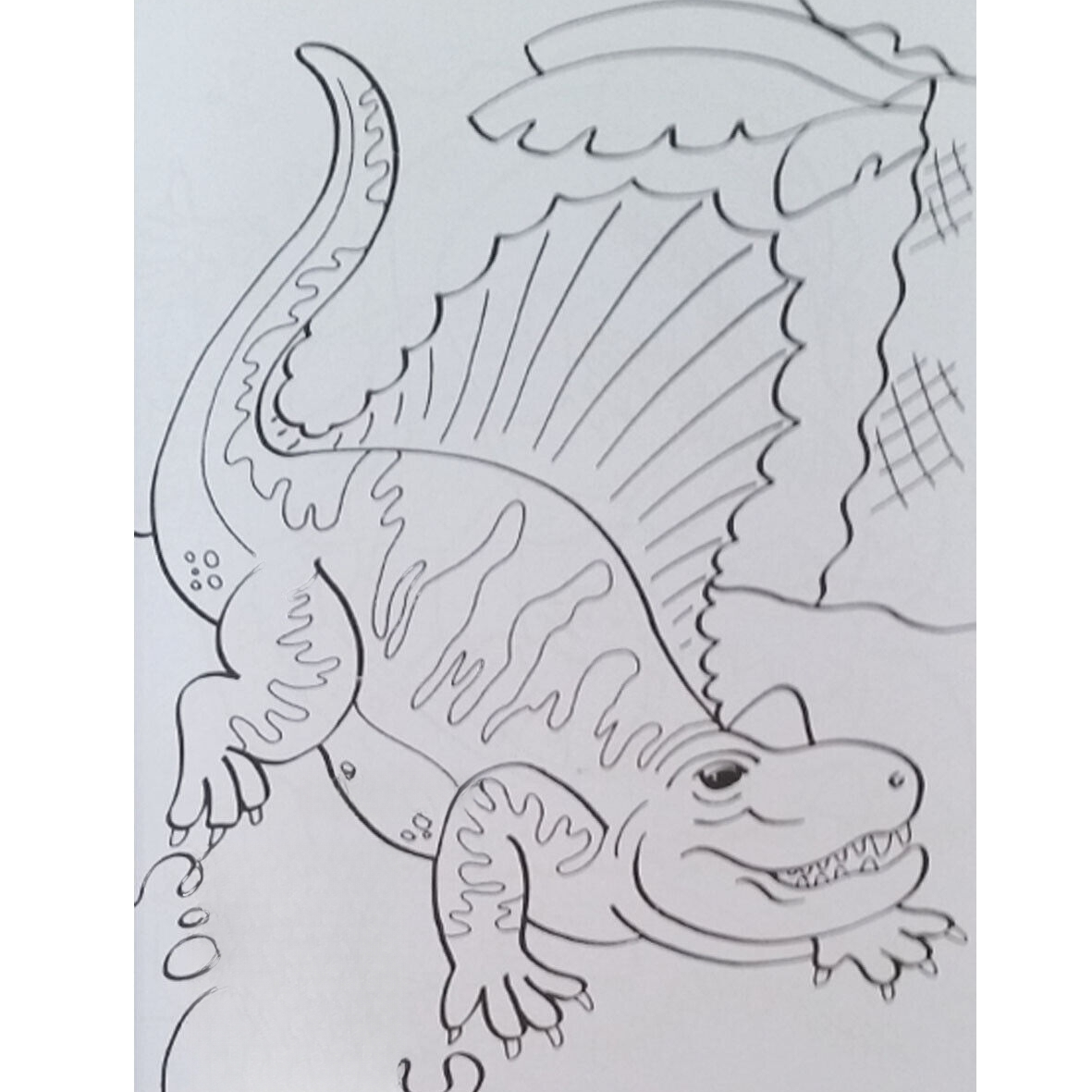 Dinosaur Colouring Book