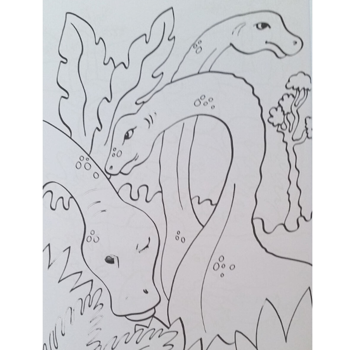 Dinosaur Colouring Book